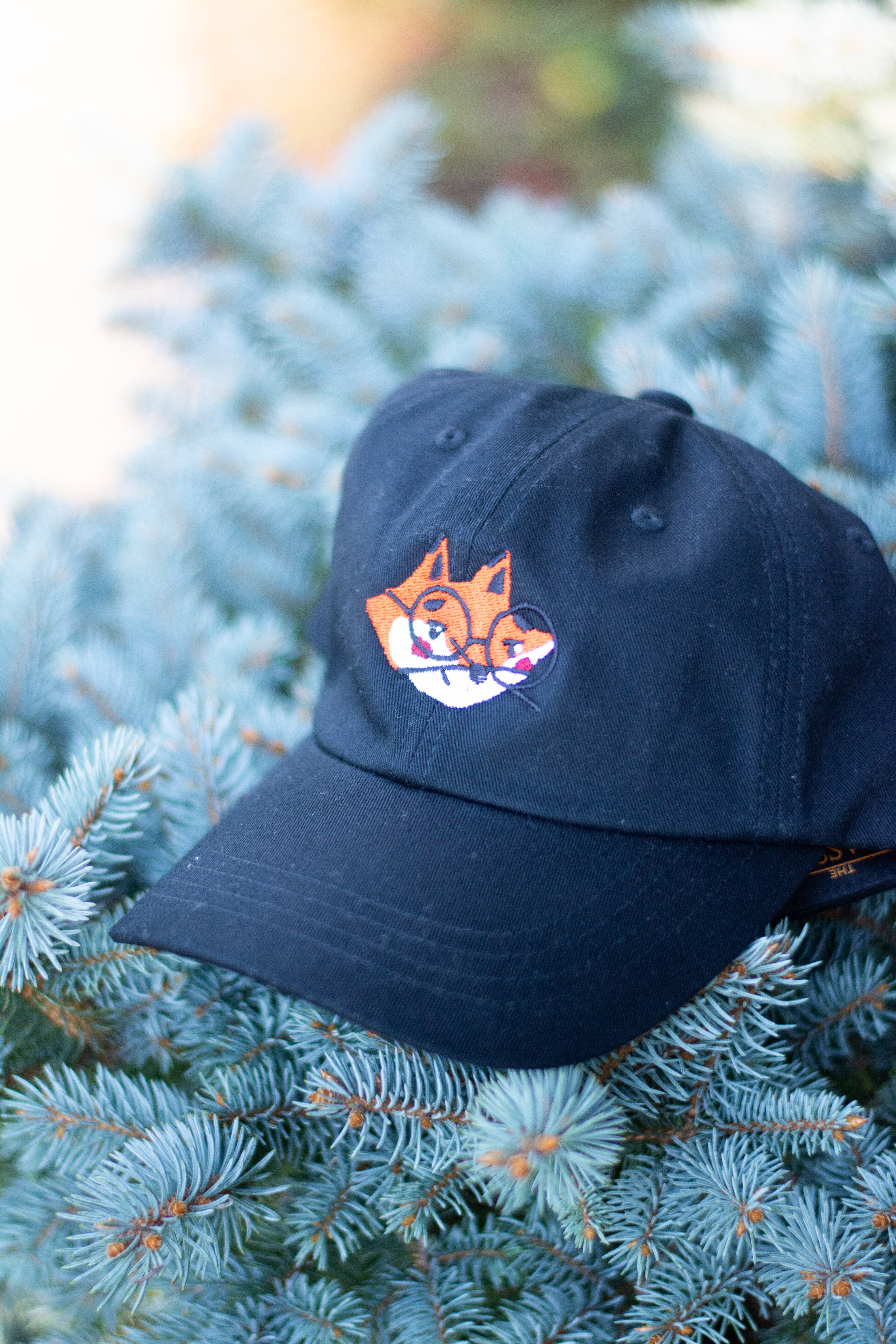 Frederick The Fox Embroidered Hat – Classic Black