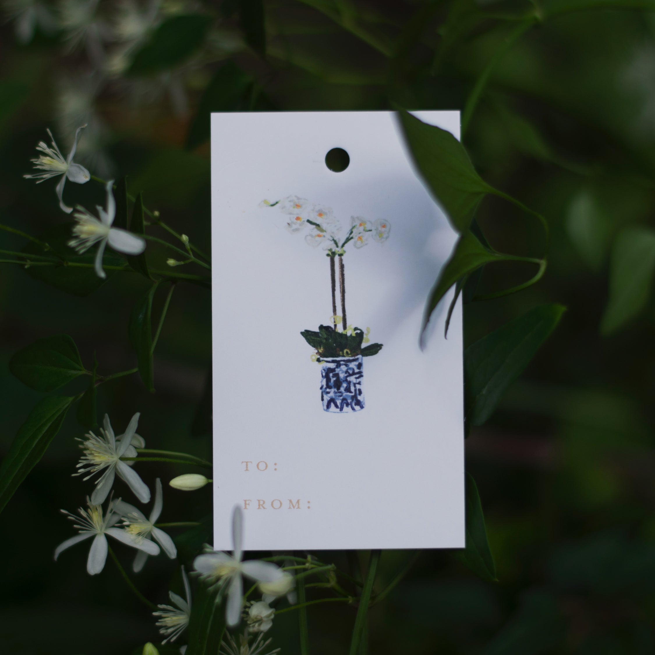 Orchid Gift Tag